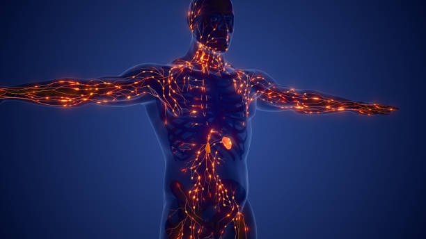 lymphatic drainage massage in dubai